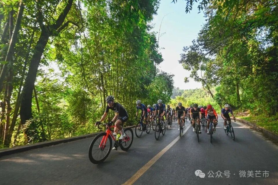 src, OgZaW, pDajz src, OgZaW, pDajz